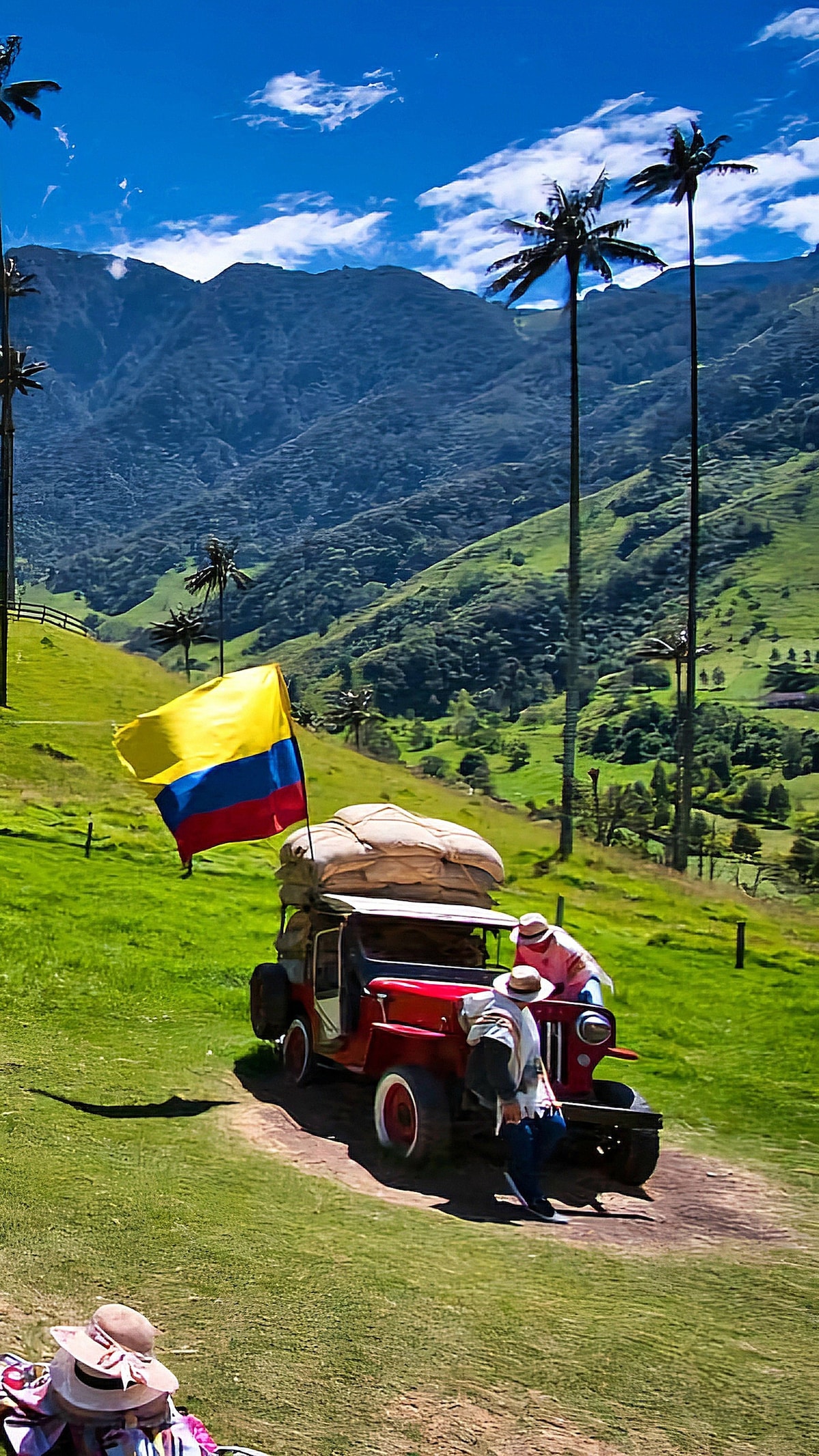 Valle del Cocora
